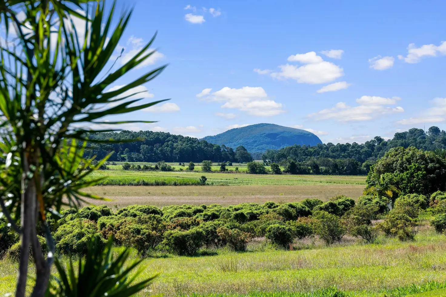 Main view of Homely house listing, 1 Samantha Drive, Bli Bli QLD 4560