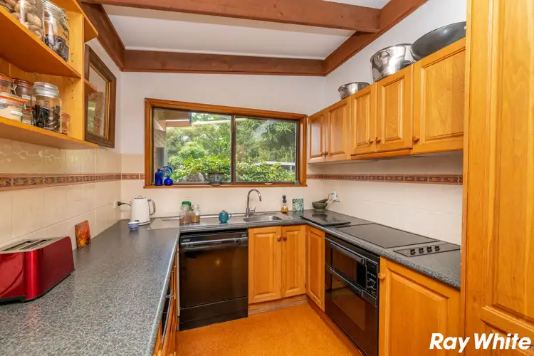 Fifth view of Homely house listing, 141 South Street, Tuncurry NSW 2428