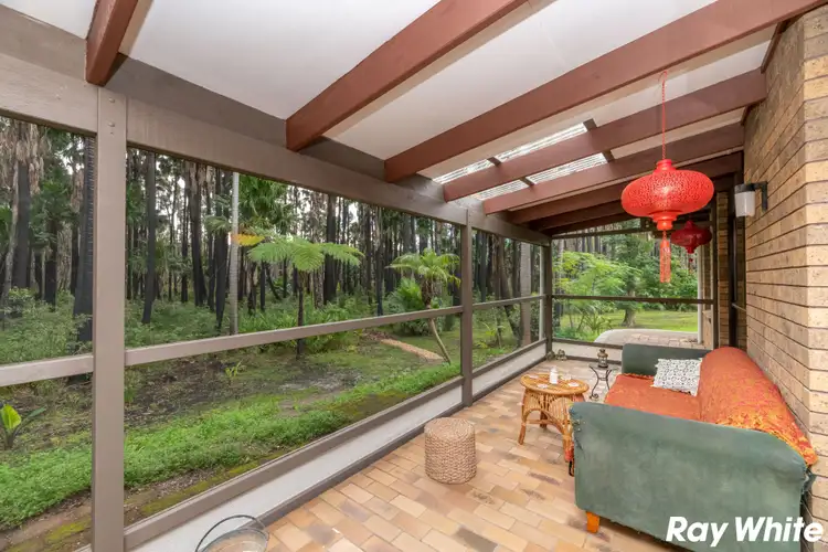 Sixth view of Homely house listing, 141 South Street, Tuncurry NSW 2428