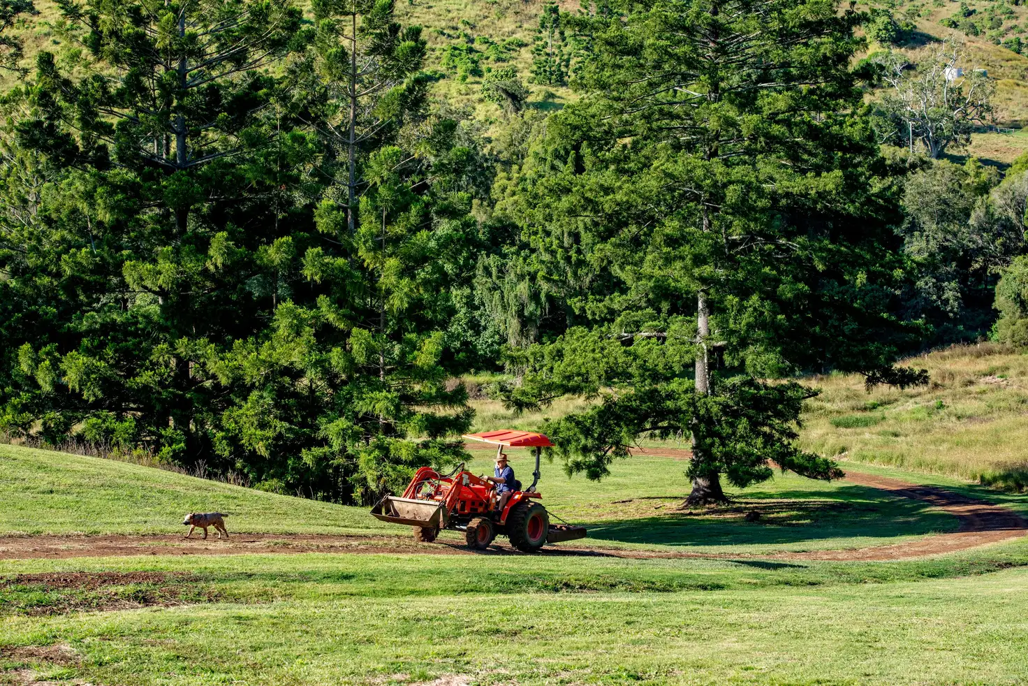 Main view of Homely rural property listing, Lot 10 Camp Creek Road, Running Creek QLD 4287