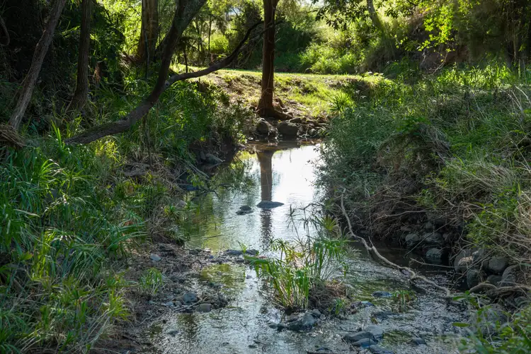 Sixth view of Homely rural property listing, Lot 10 Camp Creek Road, Running Creek QLD 4287