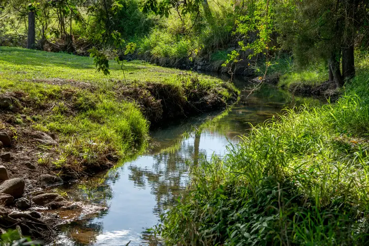 Seventh view of Homely rural property listing, Lot 10 Camp Creek Road, Running Creek QLD 4287