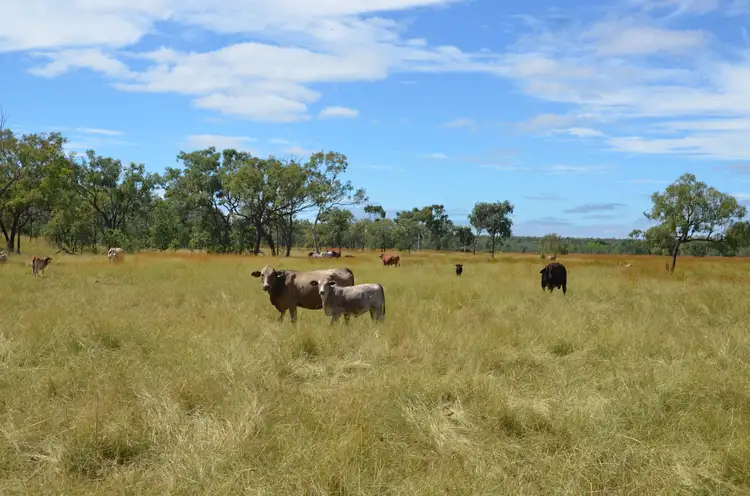 Lot 3 Rocky Springs Road, Mount Surprise QLD 4871