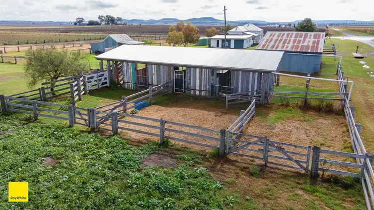 Seventh view of Homely rural property listing, 454 Dungannon Road, Clifton QLD 4361