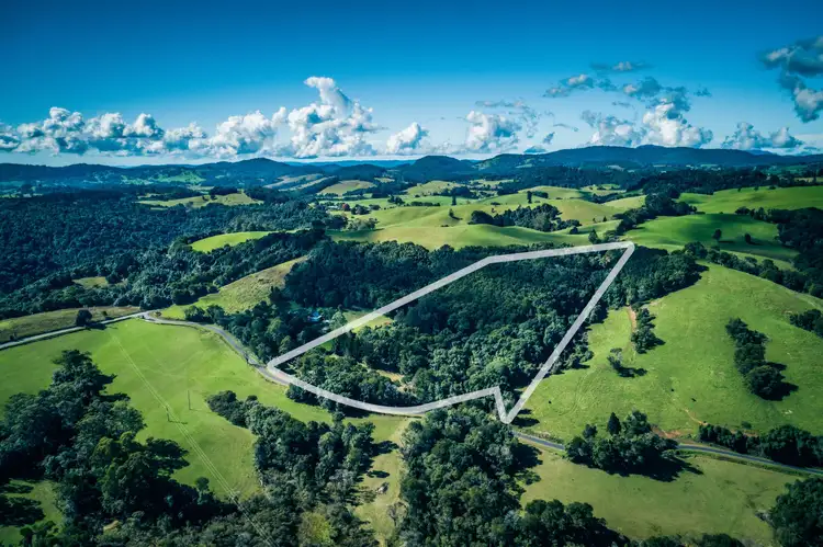 Main view of Homely rural property listing, 25 Mackays Creek Road, Dorrigo NSW 2453