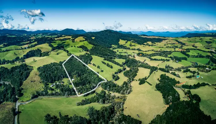 Second view of Homely rural property listing, 25 Mackays Creek Road, Dorrigo NSW 2453