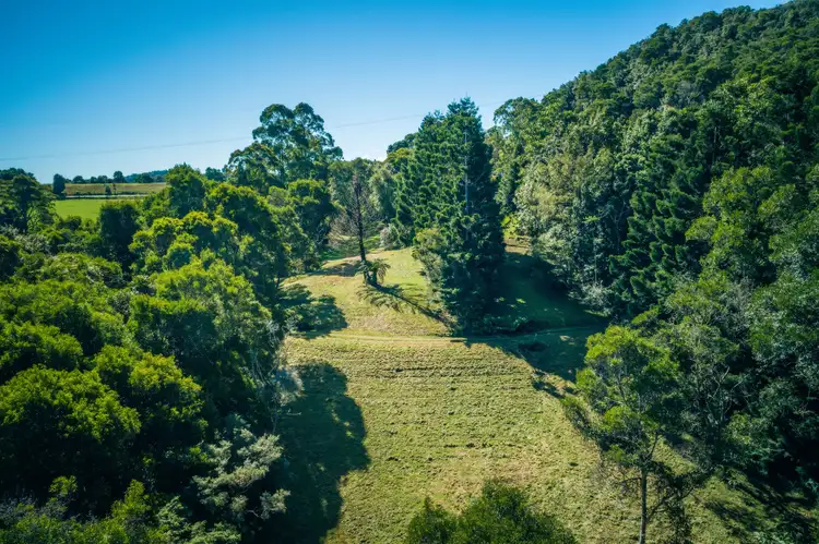 Third view of Homely rural property listing, 25 Mackays Creek Road, Dorrigo NSW 2453