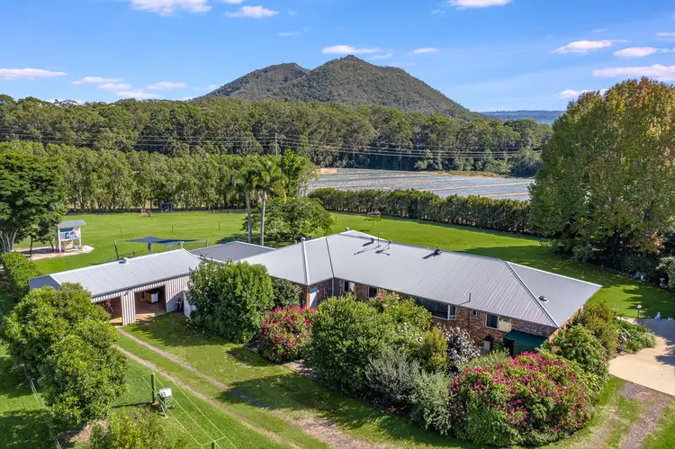 Second view of Homely house listing, 35 Morrison Road, Glass House Mountains QLD 4518