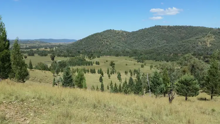 Sixth view of Homely rural property listing, Lot 17 Mountain Creek Road, Tenterfield NSW 2372