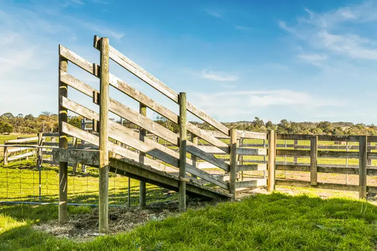Sixth view of Homely rural property listing, 100 Thirteen Mile Road, Garfield VIC 3814