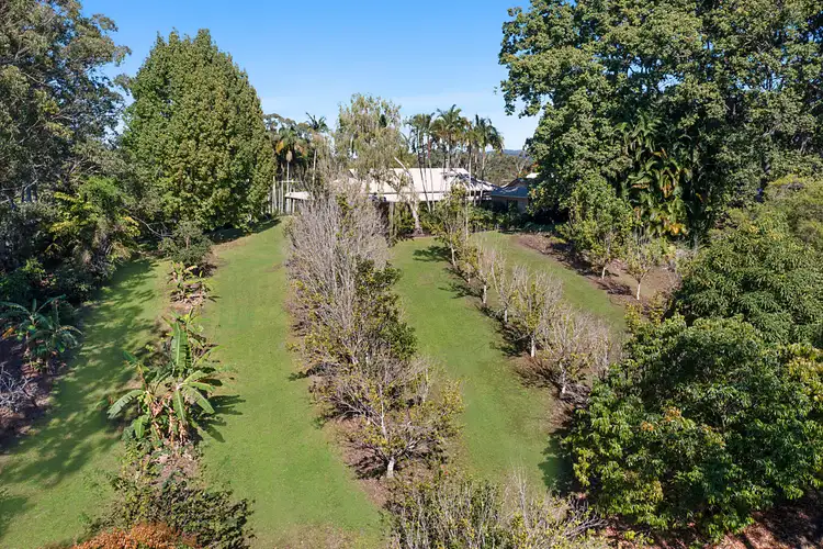 Fifth view of Homely rural property listing, 67 Sports Road, Bli Bli QLD 4560
