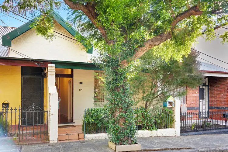 65 Chelmsford Street, Newtown NSW 2042