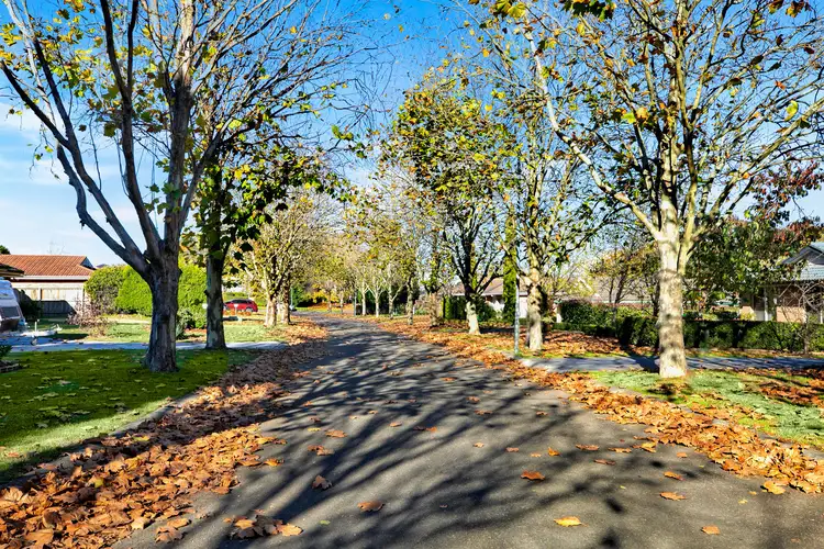 Sixth view of Homely house listing, 11 Plane Tree Close, Bowral NSW 2576