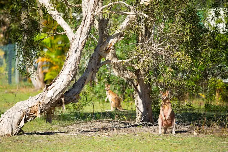Third view of Homely land listing, 60 Doeblien Drive, South Stradbroke QLD 4216