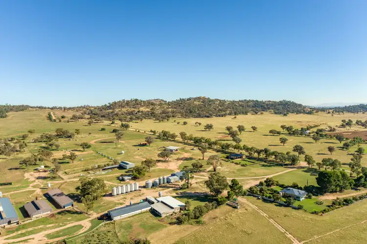 "Springview" Loch Lomond Road, Gooloogong NSW 2805