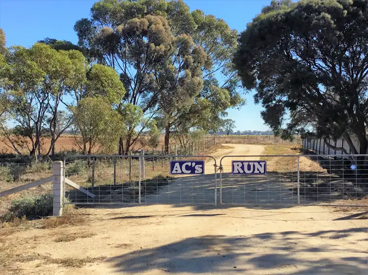 Main view of Homely rural property listing, 1751 Kerang-Koondrook Road, Teal Point VIC 3579
