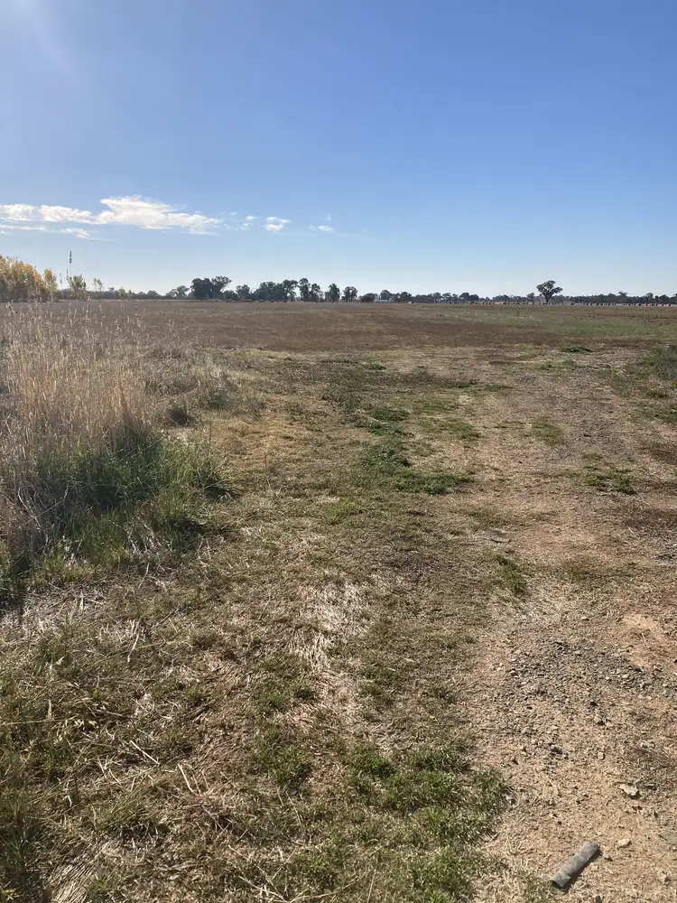 Fourth view of Homely rural property listing, 720 Bitcon Road, Toolamba VIC 3614
