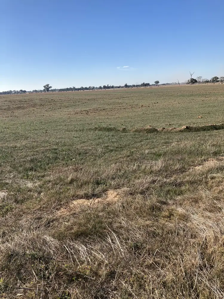 Fifth view of Homely rural property listing, 720 Bitcon Road, Toolamba VIC 3614