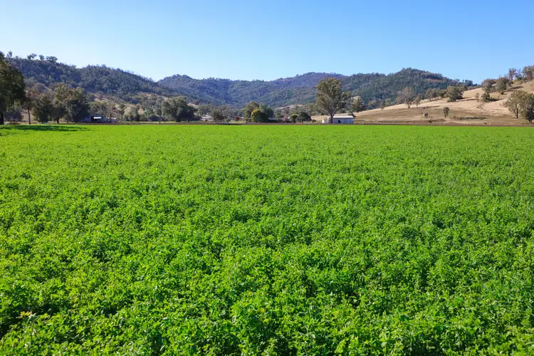Main view of Homely rural property listing, 1097 Nundle Road, Tamworth NSW 2340