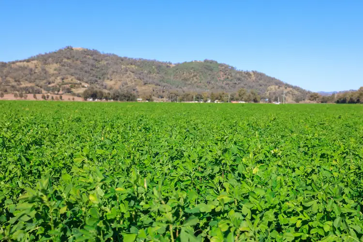 Third view of Homely rural property listing, 1097 Nundle Road, Tamworth NSW 2340