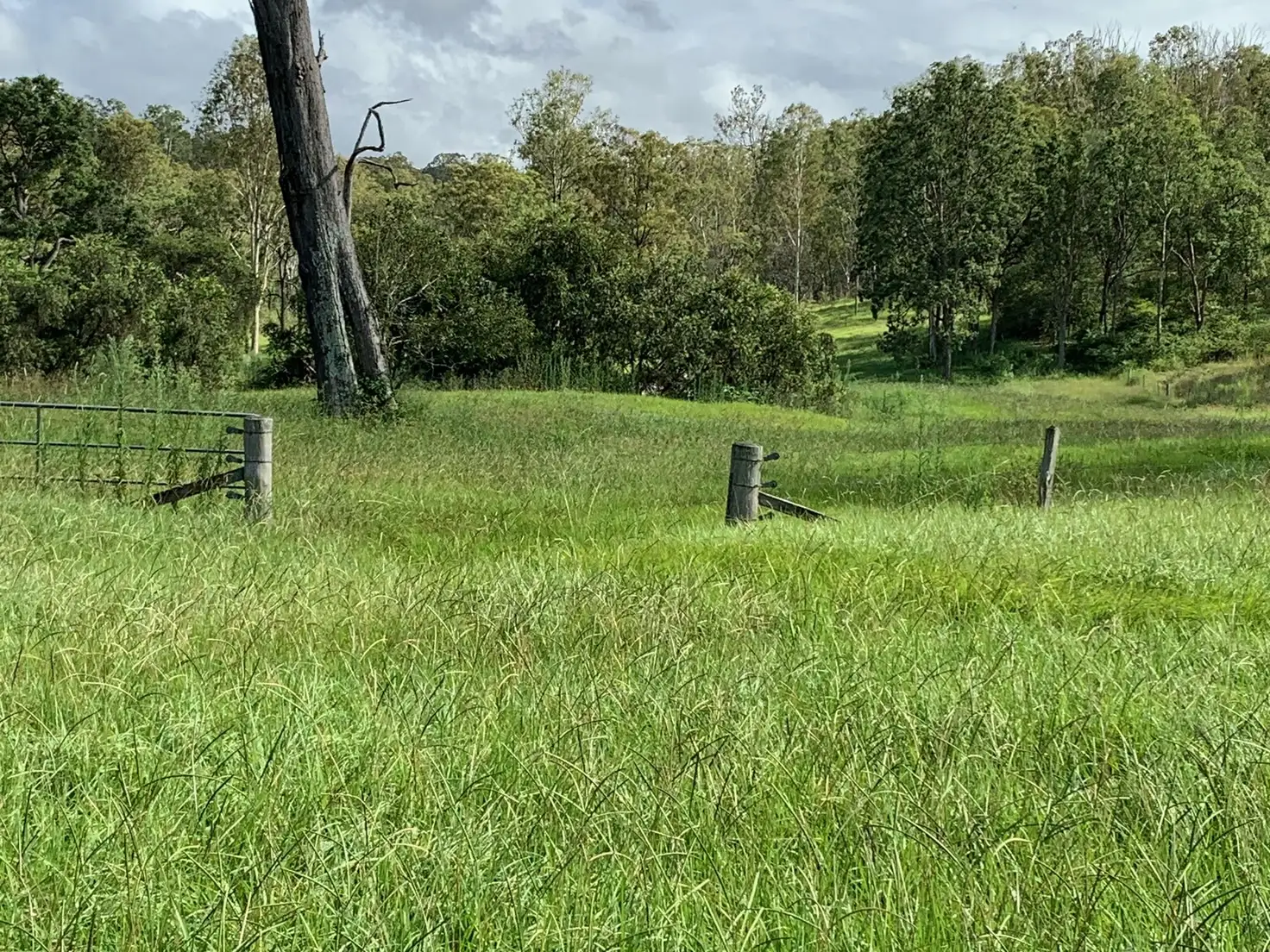Main view of Homely rural property listing, 179 Merton Close, Kooralbyn QLD 4285