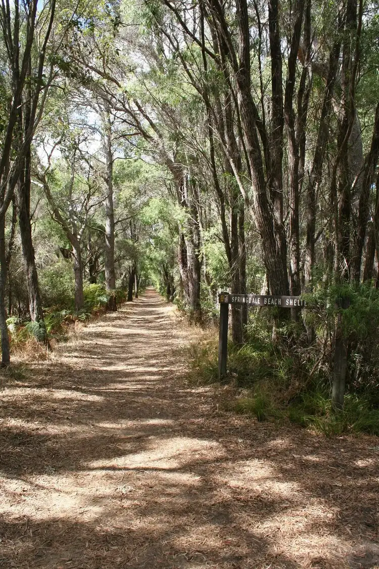 Third view of Homely land listing, LOT 247, 13 Hibbertia Way, Denmark WA 6333