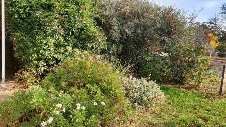 Second view of Homely house listing, 26 Michie Street, Elmore VIC 3558