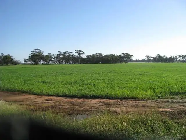 Main view of Homely land listing, 235 236 237 Woolawa Street, Moora WA 6510