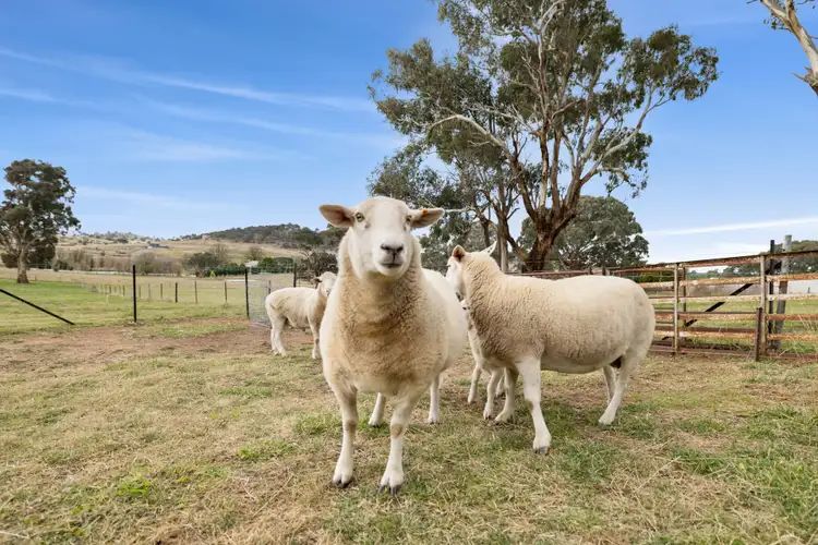Fifth view of Homely house listing, 10 Dalton Road, Gunning NSW 2581