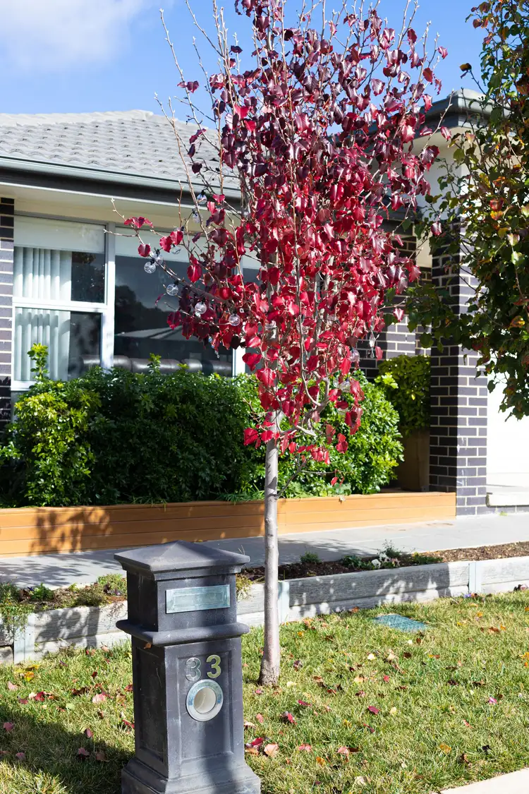 Third view of Homely house listing, 33 Essie Coffey Street, Bonner ACT 2914
