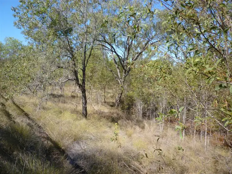 Fifth view of Homely rural property listing, 0 Capricorn Highway, Duaringa QLD 4712