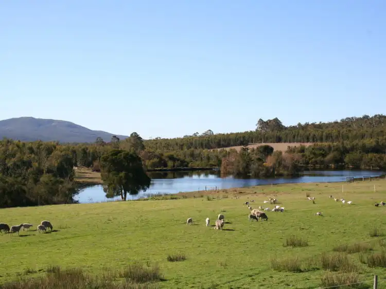 Sixth view of Homely rural property listing, 646 Harewood Road, Denmark WA 6333