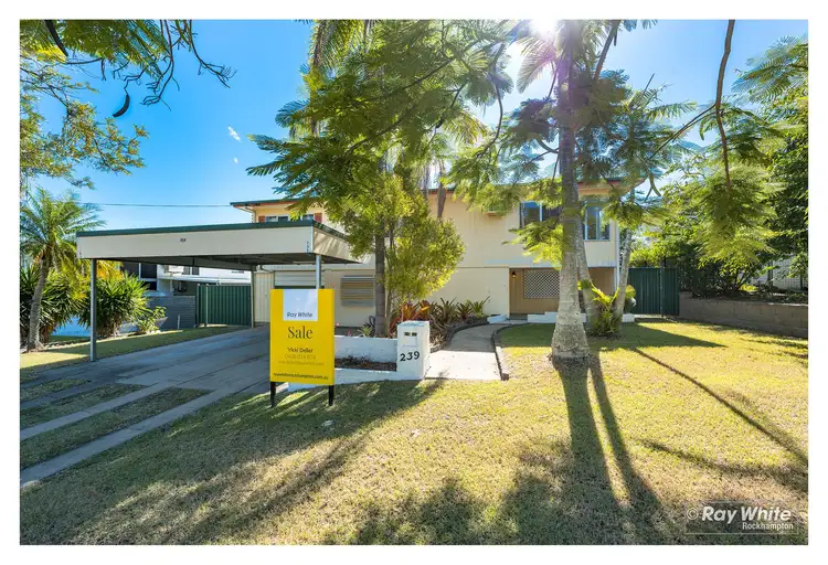 239 Flowers Avenue, Frenchville QLD 4701