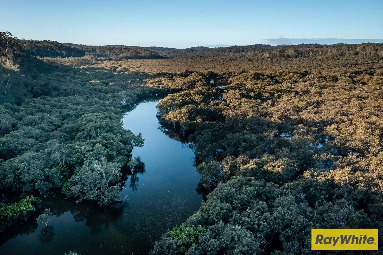 Main view of Homely house listing, 16 Burri Palm Way, Surfside NSW 2536