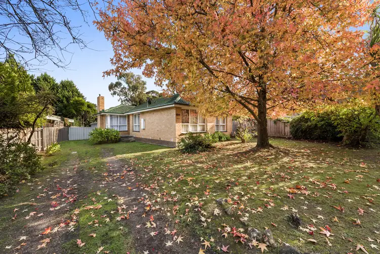 Third view of Homely house listing, 6 Annette Grove, Boronia VIC 3155