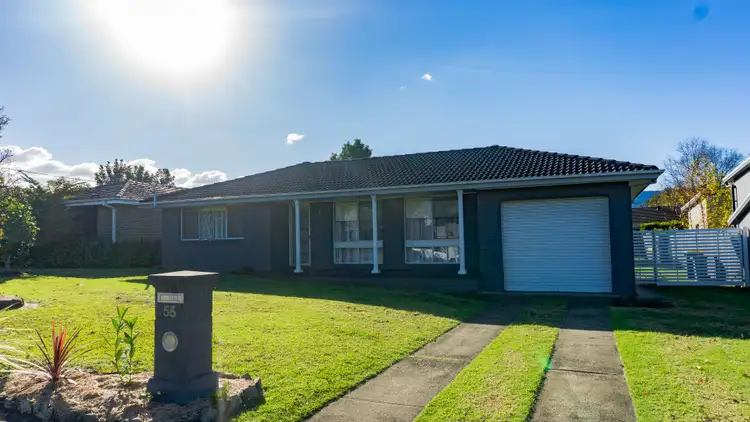 55 Albert Street