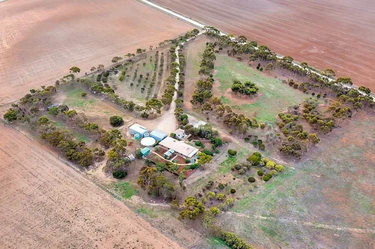 Main view of Homely rural property listing, 84 Bremer Range Road, Callington SA 5254