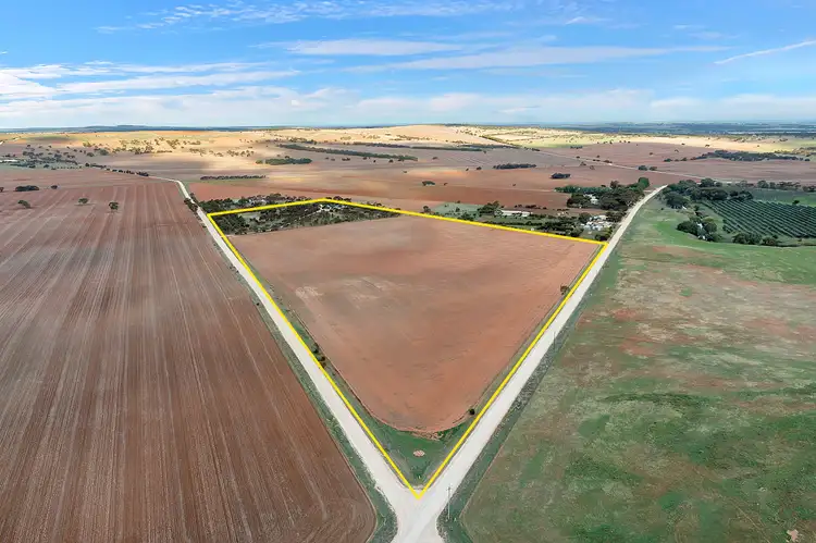 Sixth view of Homely rural property listing, 84 Bremer Range Road, Callington SA 5254