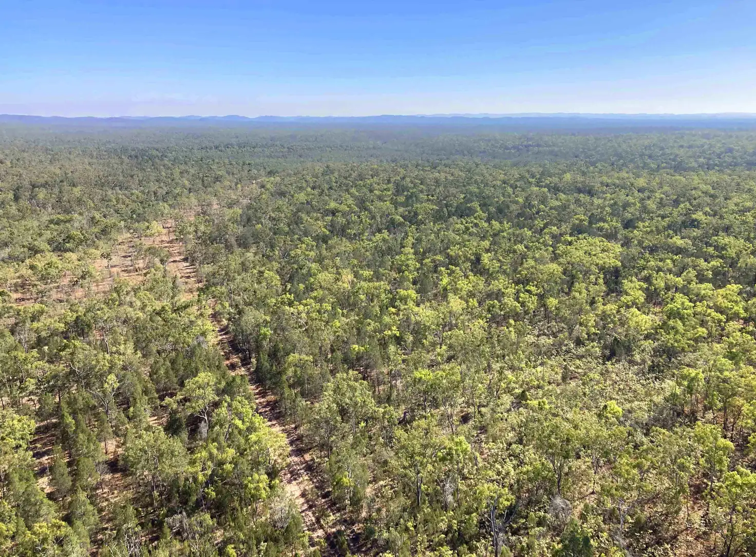 Main view of Homely rural property listing, Address available on request