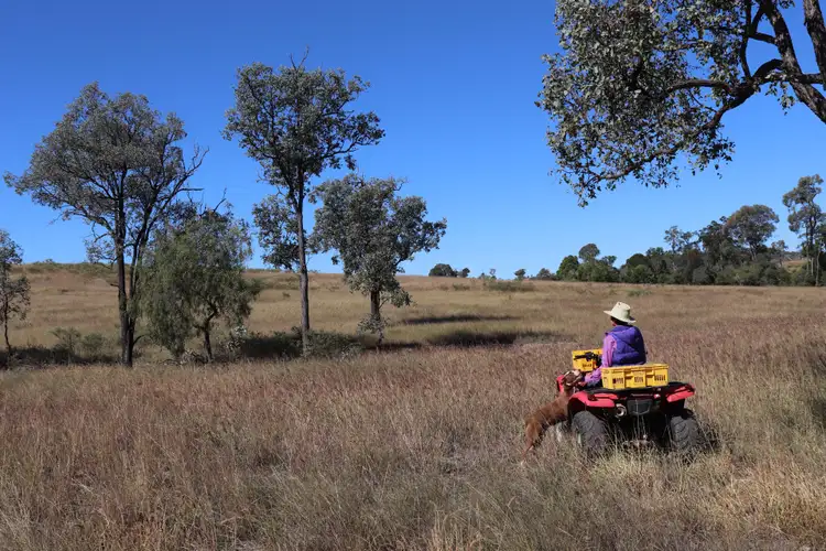 Third view of Homely rural property listing, Crosscut Acres 64 Cattle Creek Road, Mundubbera QLD 4626