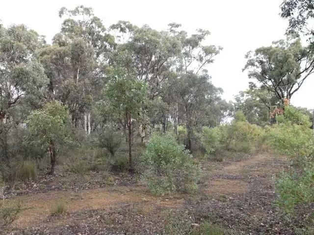 Second view of Homely land listing, Lot 294, 55 Second Avenue, Kendenup WA 6323