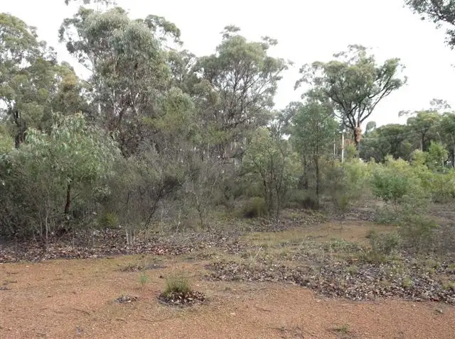 Third view of Homely land listing, Lot 294, 55 Second Avenue, Kendenup WA 6323