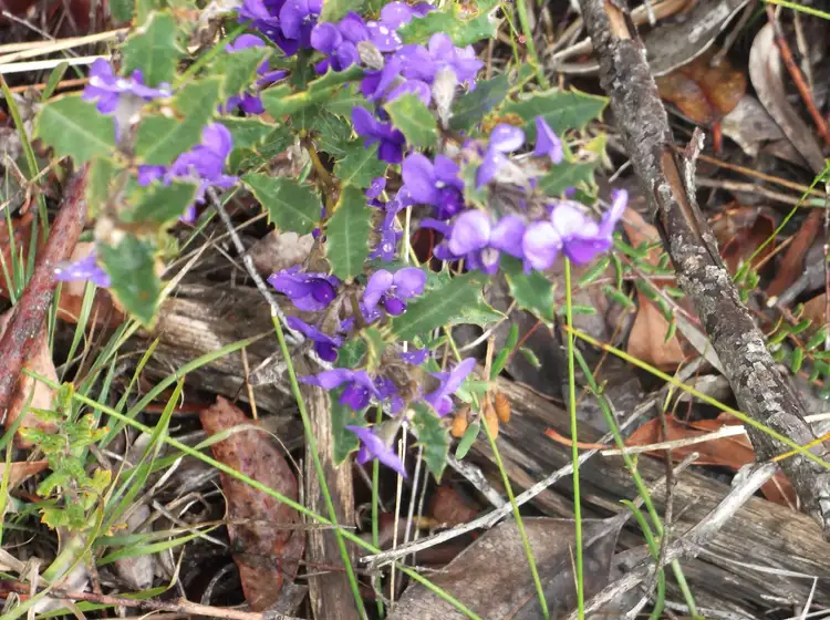 Fifth view of Homely land listing, Lot 294, 55 Second Avenue, Kendenup WA 6323