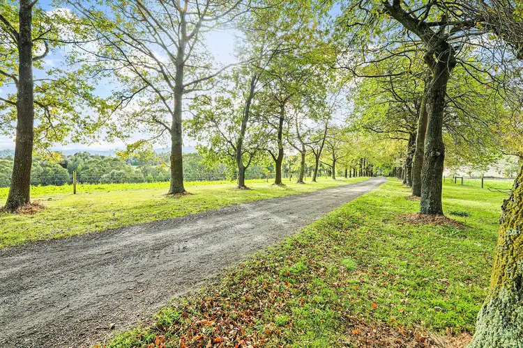 Third view of Homely rural property listing, 1145 Labertouche North Road, Labertouche VIC 3816