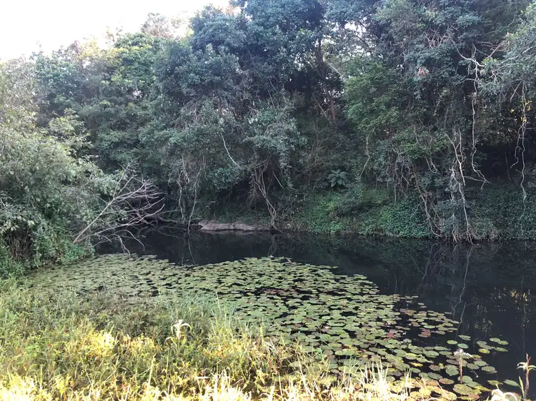 Fifth view of Homely land listing, 186 Gold Coast Springbrook Road, Mudgeeraba QLD 4213