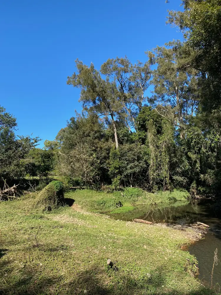 Seventh view of Homely land listing, 186 Gold Coast Springbrook Road, Mudgeeraba QLD 4213