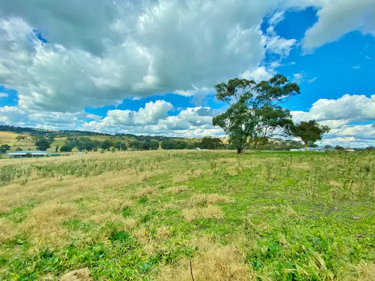 91 Dowling Drive via Murringo, Young NSW 2594