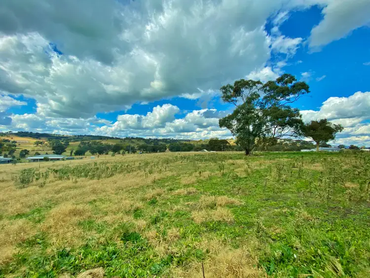 Third view of Homely land listing, 91 Dowling Drive via Murringo, Young NSW 2594