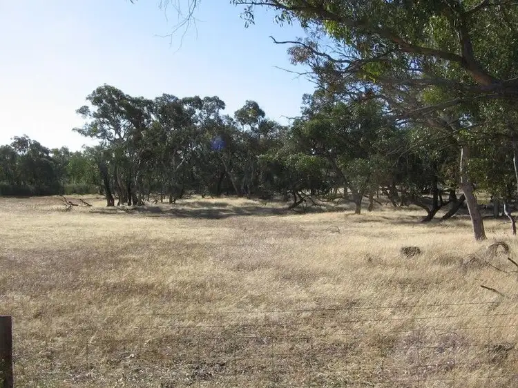 Main view of Homely rural property listing, Section 50 Mundulla/Padthaway Road, Padthaway SA 5271