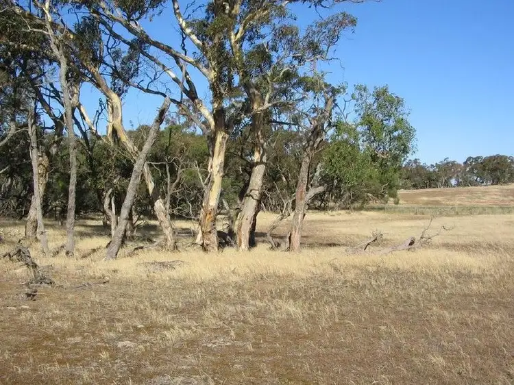 Second view of Homely rural property listing, Section 50 Mundulla/Padthaway Road, Padthaway SA 5271